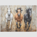 Search for western wall Horse