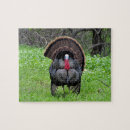 Search for toms puzzles Bird