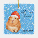 Search for guinea pig ornaments Merry christmas