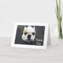 Search for bulldog thank you cards Dogs