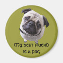 Search for mopping magnets Dog