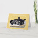 Search for tortoiseshell cards Calico
