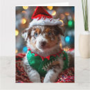 Search for australian cattle dog christmas cards Puppy