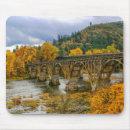 Search for river fall electronics Leaves