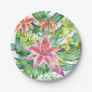 Search for tropical plates Florida