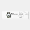 Recherche de chien traîneau voiture autocollants Malamute