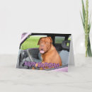 Recherche de funny french birthday cards Dog