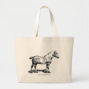 Search for draft horse Shire