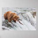 Recherche de saumon art Ours