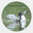 Search for protect nature stickers Wildlife