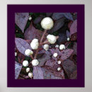 Search for multi region posters Plant