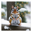 Search for chipmunk art Wildlife