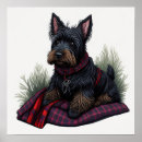 Recherche de scottish terrier posters Drôle