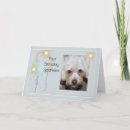 Search for from the pet cards Dog