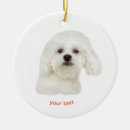 Search for maltese ornaments White