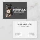 Search for pitbull business cards Rescue