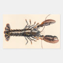 Search for lobster stickers Shellfish