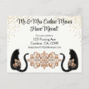 Recherche de chat original cartes postales Noir