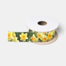 Search for daffodil ribbon Garden