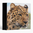 Search for leopard binders Cat