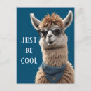 Search for alpaca postcards Funny