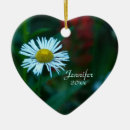 Recherche de fleur marguerite ornements Nature