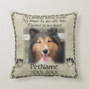Search for rainbow bridge poem pets Dogs
