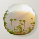 Search for palm springs pillows Desert