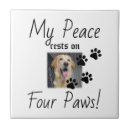 Search for paws tiles Cat lover