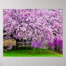 Recherche de banc de jardin posters Plante