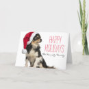 Recherche de chiwawa noël cartes Petit