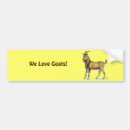 Search for goat bumper stickers Caprine