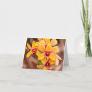 Search for orchid note cards Tropical