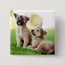 Search for german square buttons Animal