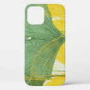 Search for ginkgo biloba iphone cases Leaf