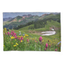 Search for scenery pillowcases Snow