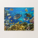 Search for coral reef puzzles Red