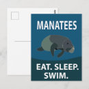 Search for manatee postcards Beach
