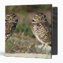Search for close up binders Usa