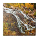 Search for conservative tiles Environment