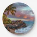 Search for beach waves paper plates Hawaiian