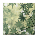 Search for maple leaf tiles Foliage