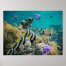 Recherche de paysage sous marin posters Coloré