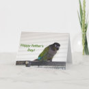 Recherche de conures vœux cartes Animal