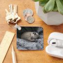 Search for sleeping baby keychains Domestic animals