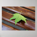 Search for chilly art Leaf