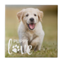 Search for puppy tiles Pet