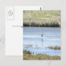 Search for marsh vertical postcards Grass