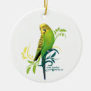 Search for parakeet ornaments Budgie