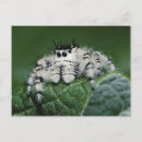 Search for medium postcards Close up